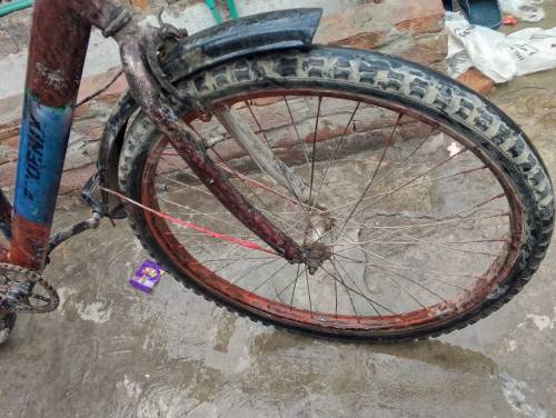 cycle