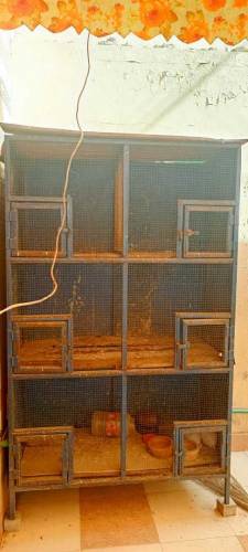 iron cage