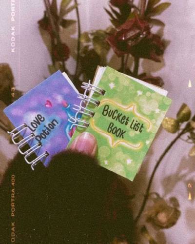 Mini books