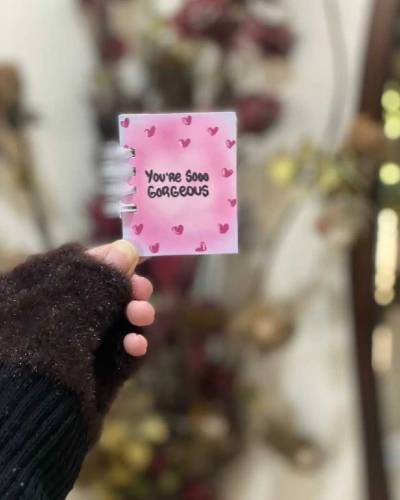 Mini books