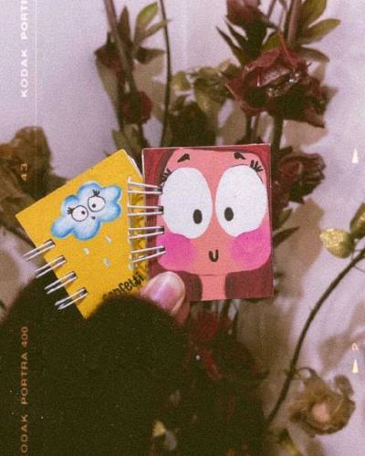 Mini books