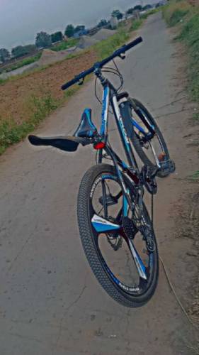 bicycle for sale