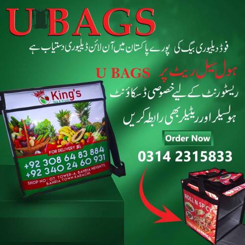 food delivery bag 