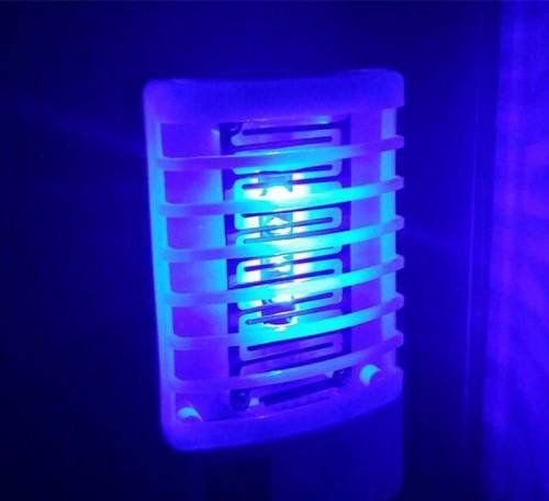 Mini Mosquito Killer Lamp
