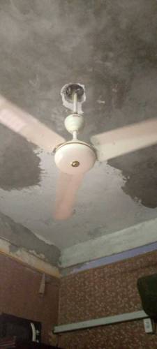 Indus fan