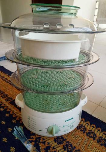 Food Steamer 