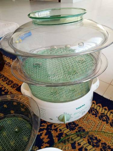 Food Steamer 