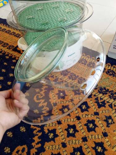 Food Steamer 