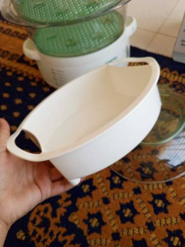 Food Steamer 