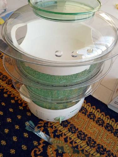 Food Steamer 