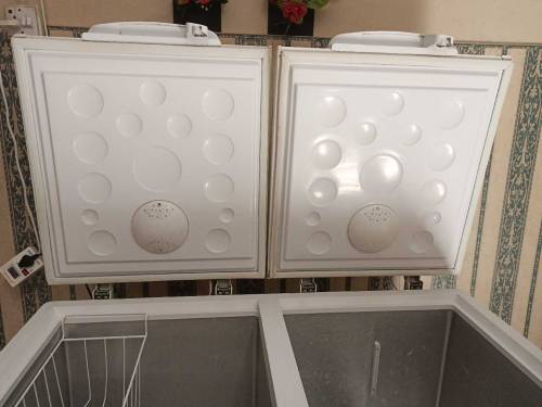 Haier Defreezer Model 385-1