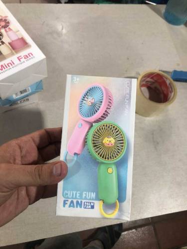 Rechargeable fan 