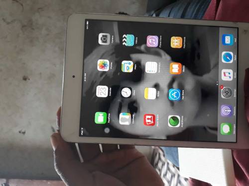 iPad mini