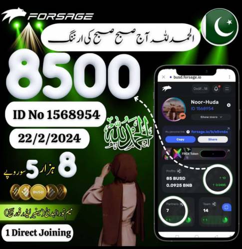 ghr bethy mobile sy  rozana 3 sy 4 hazar kmana chahty hn to rabta kren