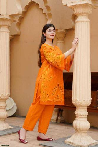 2pc embroidered stich woman lawn dress 