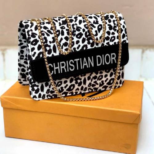  Coach , Ysl , Dior & Louis Vuitton Crossbody Handb