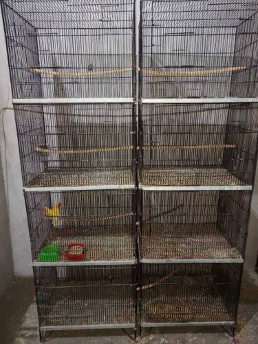 Iron cage & Box 