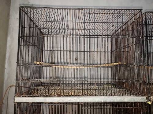 Iron cage & Box 