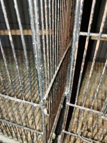 Iron cage & Box 