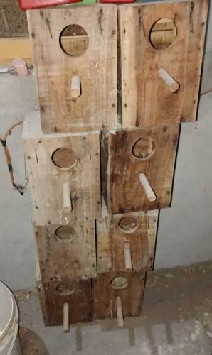 Iron cage & Box 