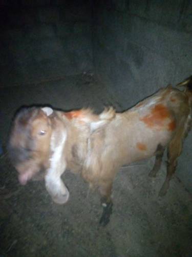 For sale