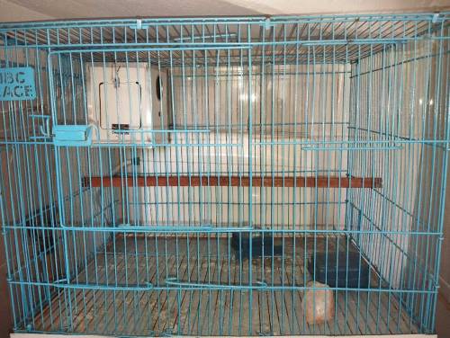 birds cage