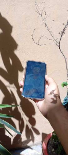 I phone X pta