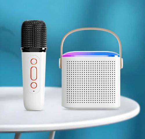 Wireless rechargeable Karaoke Speaker With Mic