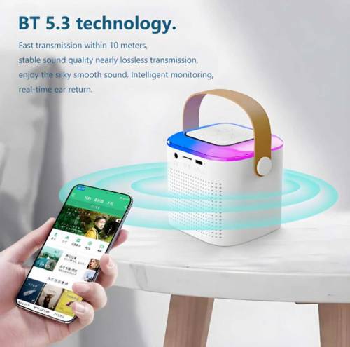 Wireless rechargeable Karaoke Speaker With Mic