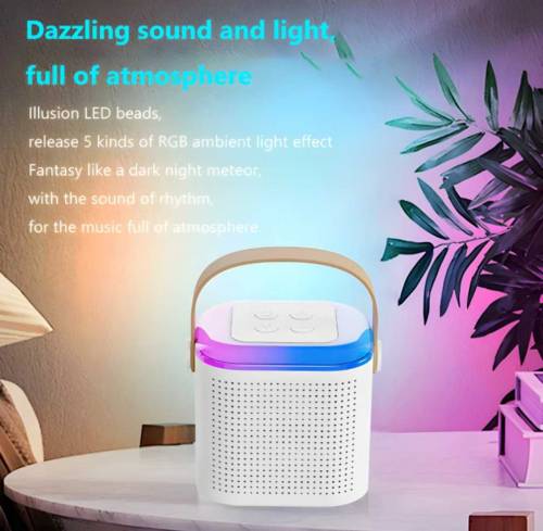 Wireless rechargeable Karaoke Speaker With Mic