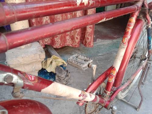 6 months use shorab 