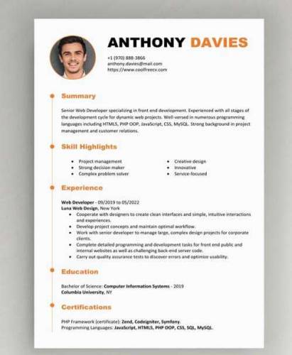 Professional CV Development Services