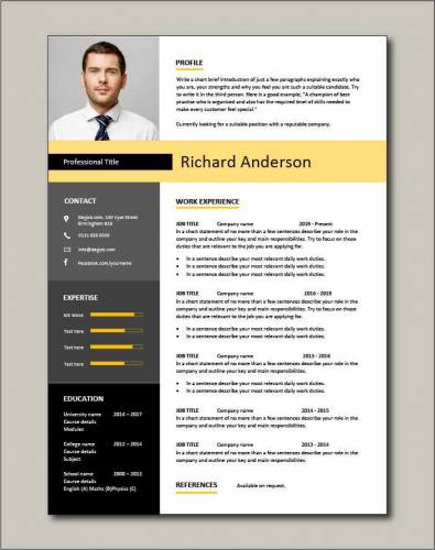 Professional CV Development Services