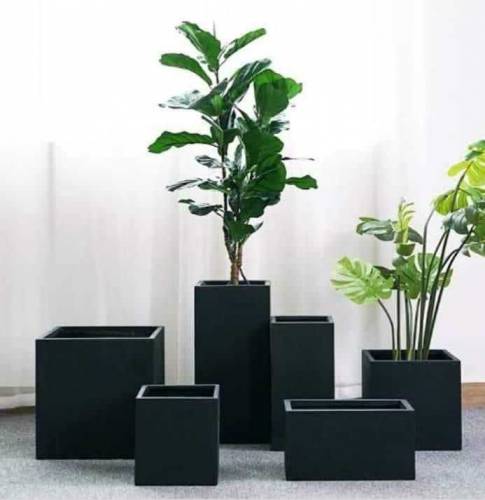Planters