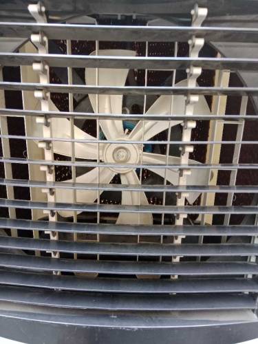 air cooler 