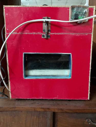 incubator for sale 