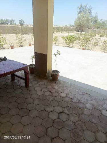ذرعی ذمین 
