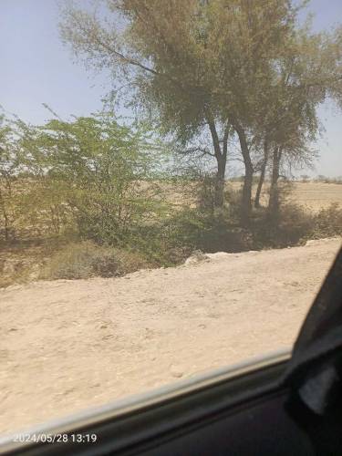 ذرعی ذمین 