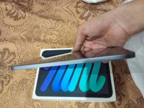 ipad mini 6 