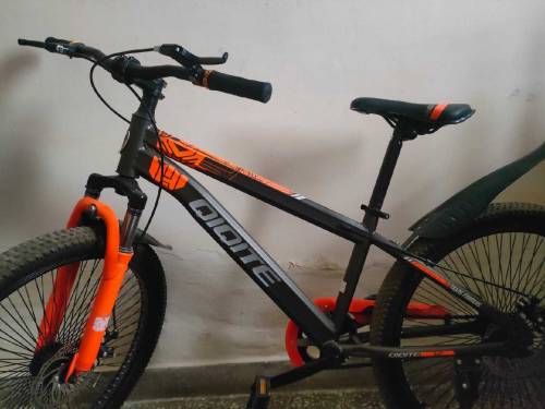 Qiqite Bicycle 