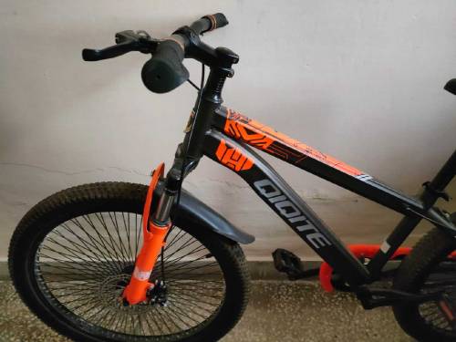 Qiqite Bicycle 