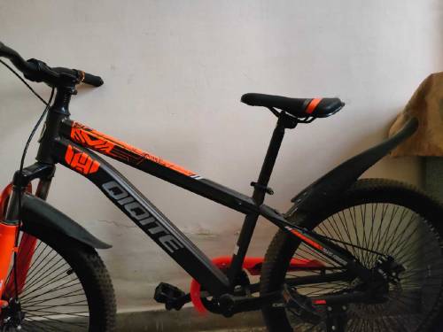 Qiqite Bicycle 