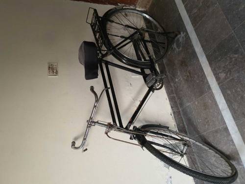 Shorab cycle