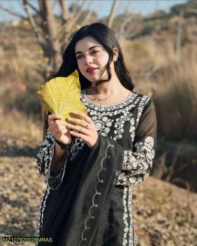  3 Pcs Women's Stitched Organza Embroider