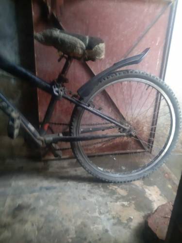 used cycle peaco