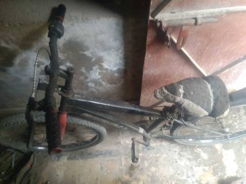 used cycle peaco