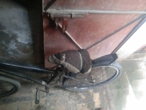 used cycle peaco