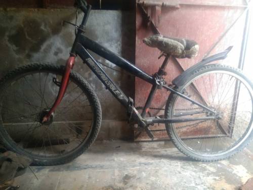 used cycle peaco