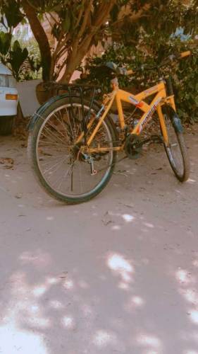 cycle for sale full size