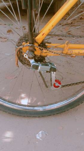 cycle for sale full size